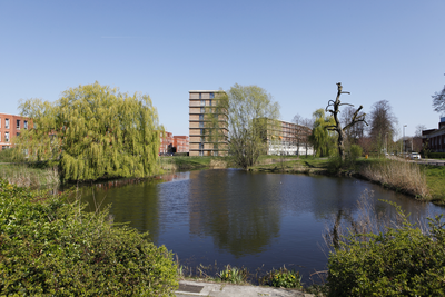 913850 Gezicht op de vijver aan het Niftarlakeplantsoen te Utrecht, met links op de achtergrond de woningen aan de Huis ...